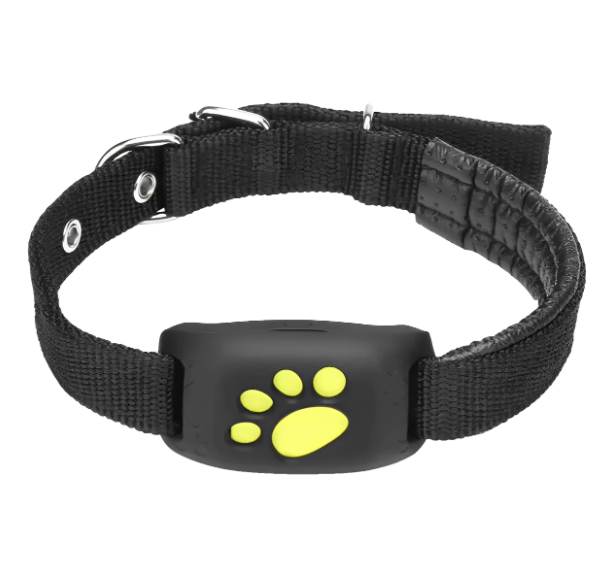 Top Dropshipping Pet Products [24/7] Monitor