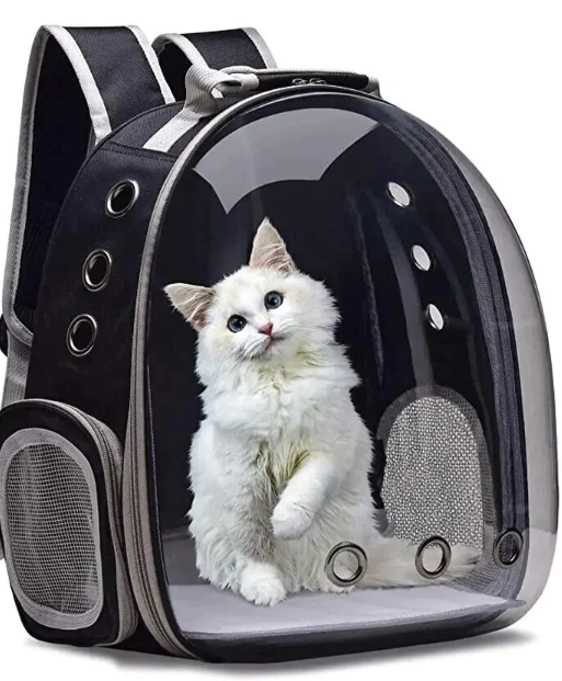 Top Dropshipping Pet Products [24/7] Monitor