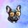Top Dropshipping Pet Products [24/7] Monitor