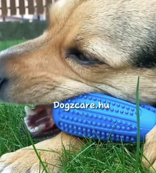 Top Dropshipping Pet Products [24/7] Monitor