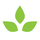 Best Dropshipping Products in India 2025 (Daily Updated)