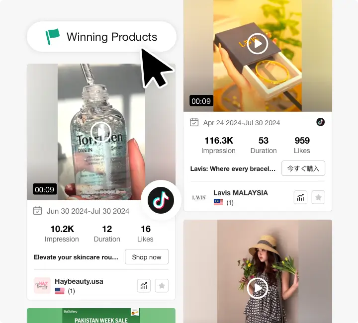 Advanced Dropshipping Product Finder
