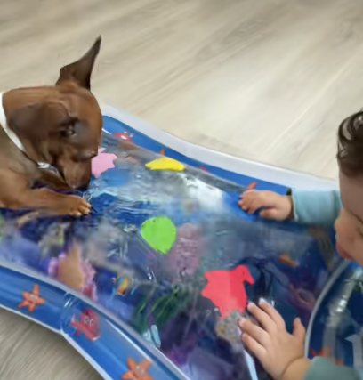 Top “#TikTok made me buy it” Videos for Finding Trending Products