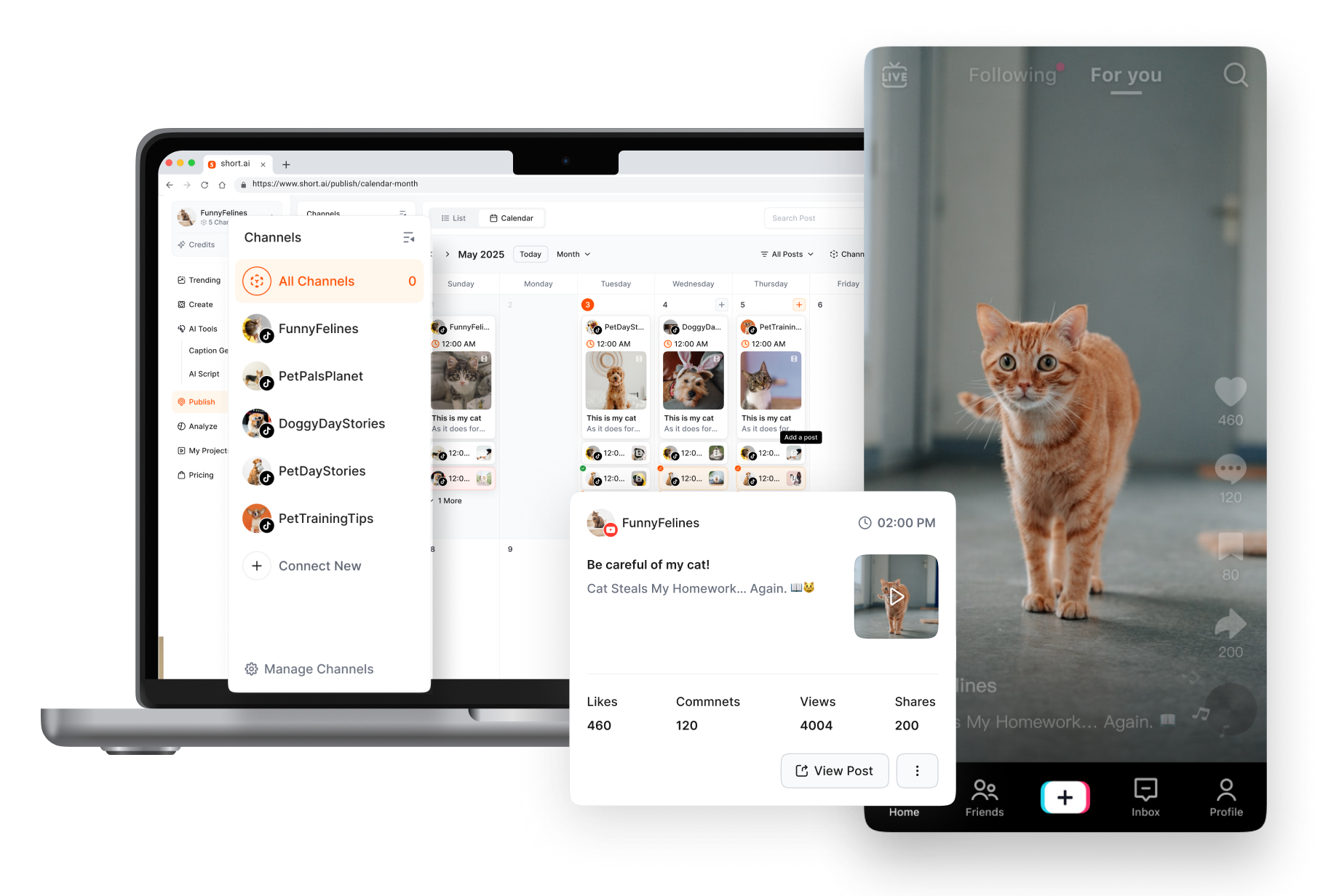 schedule tiktok posts mobile