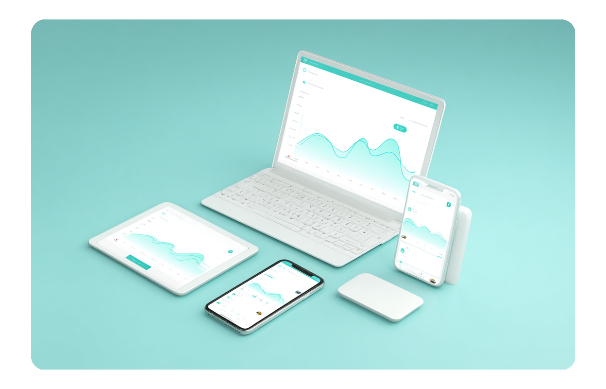 Online Accessibility