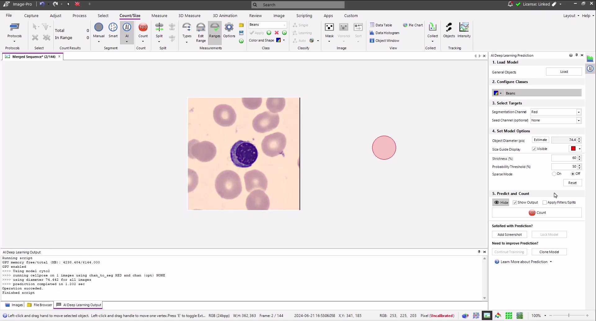 Cellposeモデルのトレーニング：細胞認識AIを最大限に活用