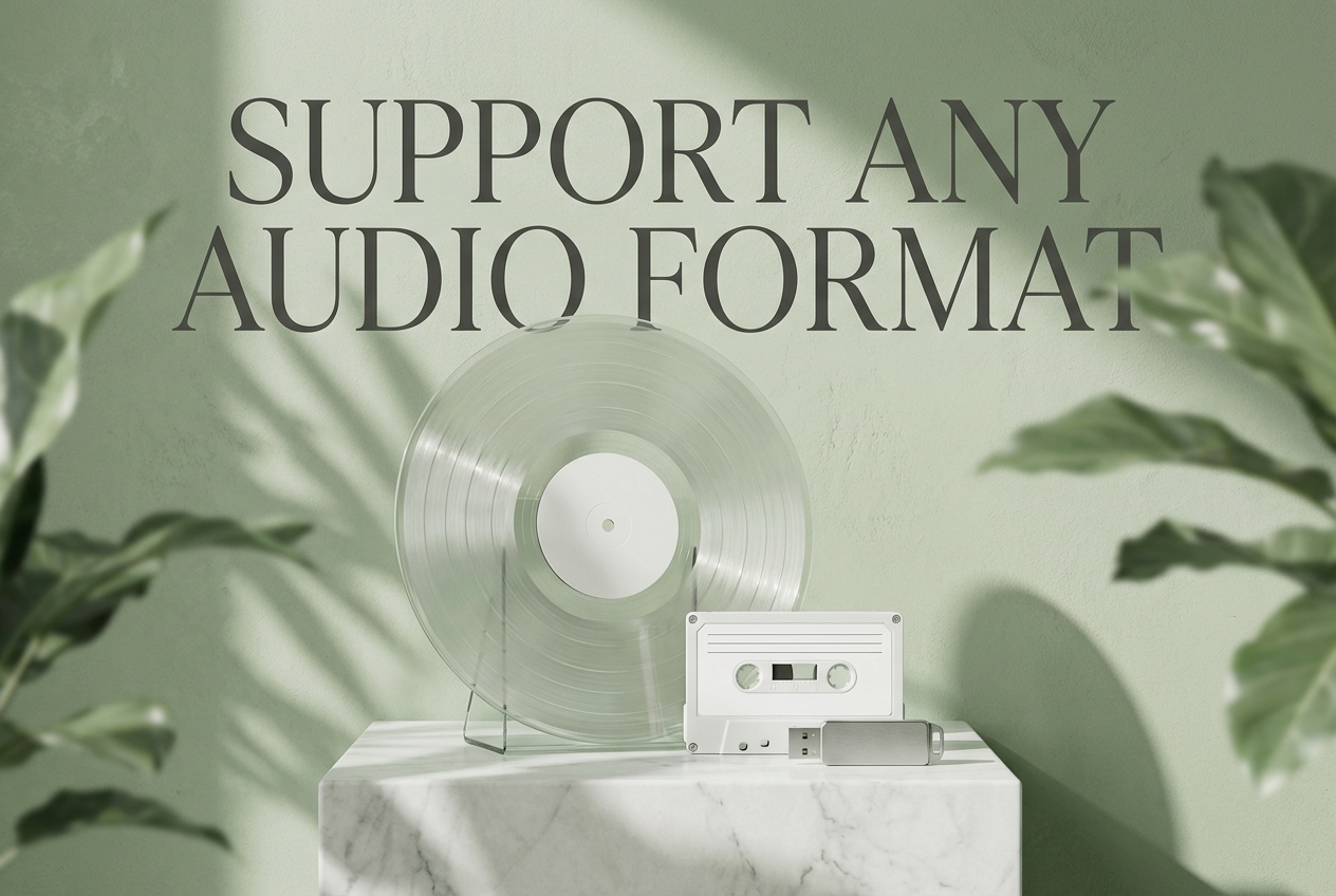 Format versatility in song to instrumental converter