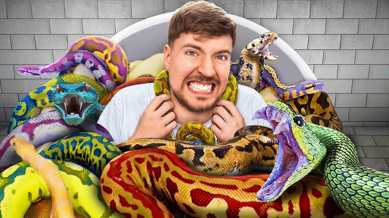 Mrbeast FunnyThumbnail