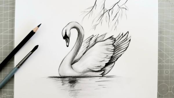 Pencil Drawing Thumbnail