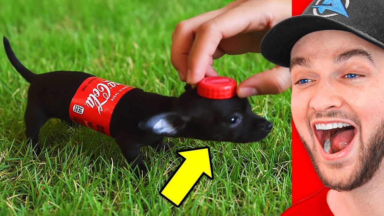 Funny YouTube Thumbnail